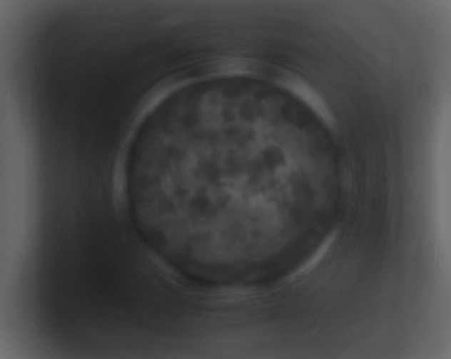 X0000101481023200807071459