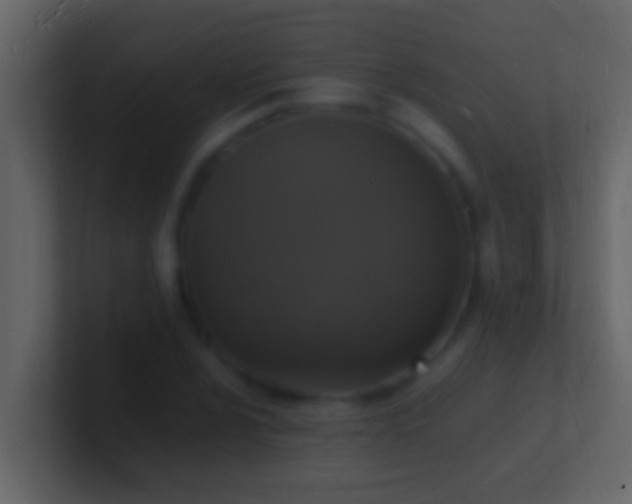 X0000101481024200807071459