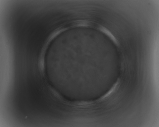X0000101481027200807071459