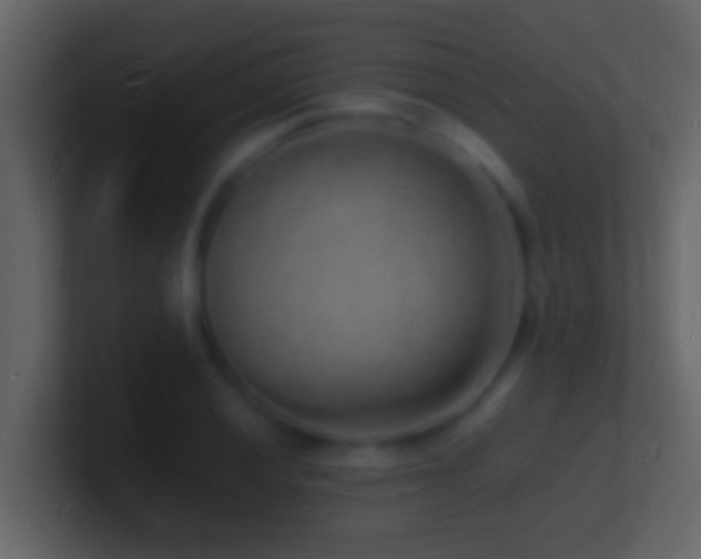 X0000101481028200807071459