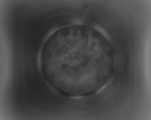 X0000101481031200807071459