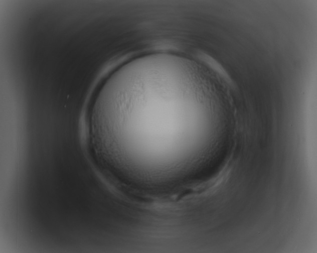 X0000101481032200807071459