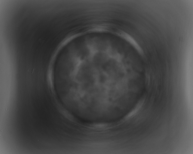 X0000101481035200807071459