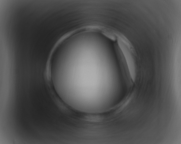 X0000101481036200807071459