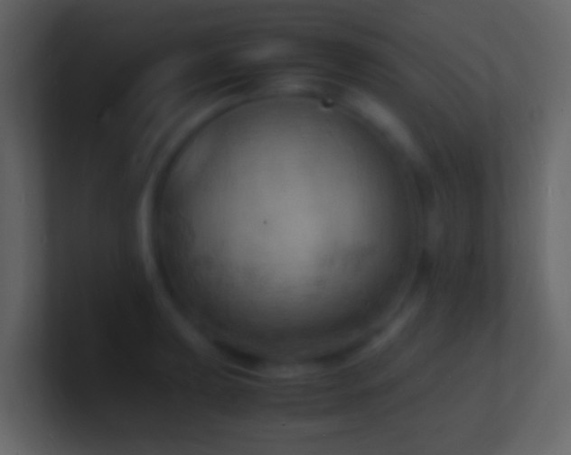 X0000101481039200807071459