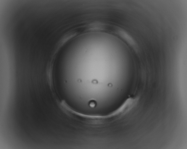 X0000101481041200807071459
