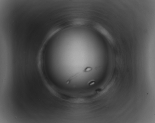 X0000101481042200807071459