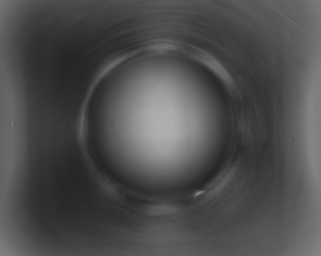 X0000101481044200807071459