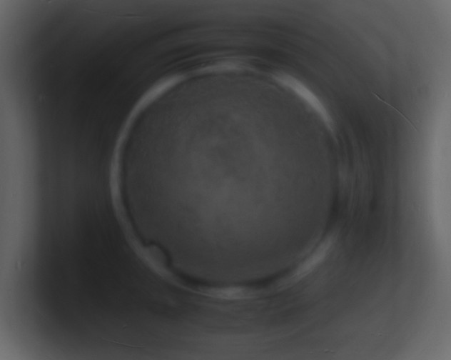 X0000101481045200807071459