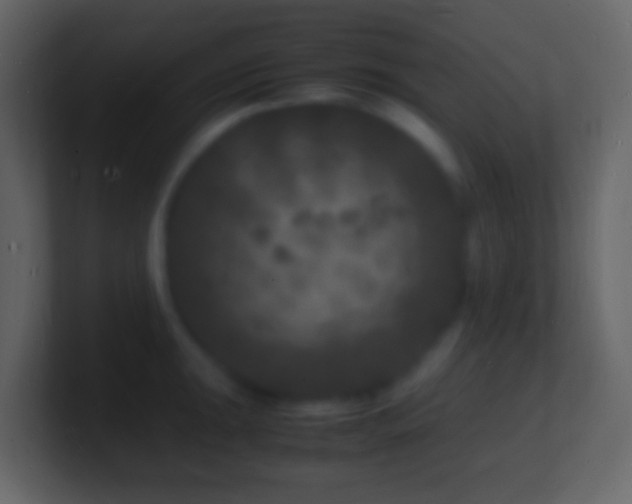 X0000101481047200807071459