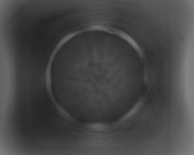 X0000101481048200807071459