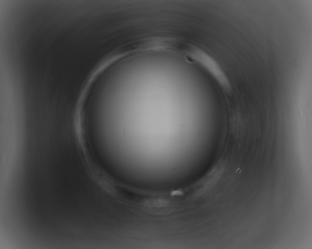X0000101481051200807071459