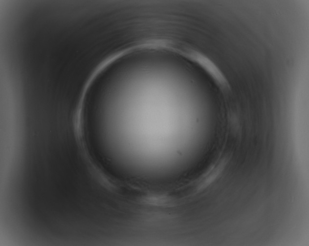 X0000101481052200807071500