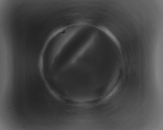 X0000101481053200807071500