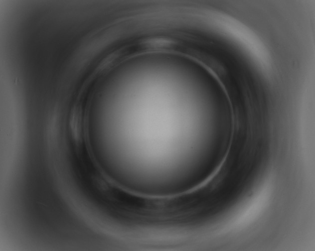 X0000101481054200807071500