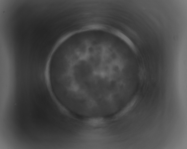X0000101481055200807071500