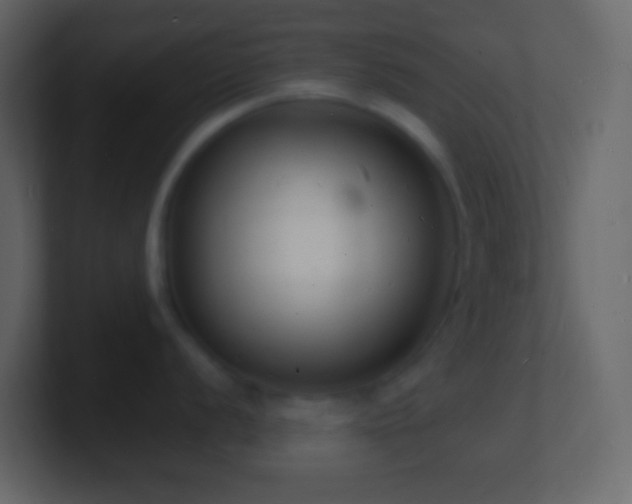 X0000101481056200807071500