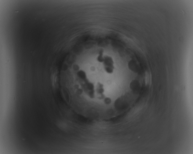 X0000101481059200807071459