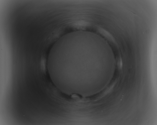 X0000101481060200807071459