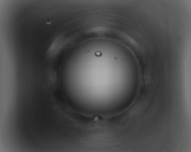 X0000101481062200807071459
