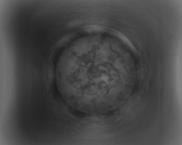 X0000101481063200807071459