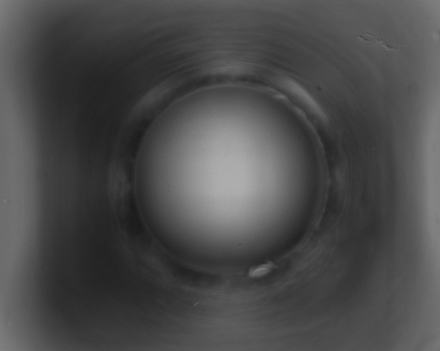 X0000101481064200807071459