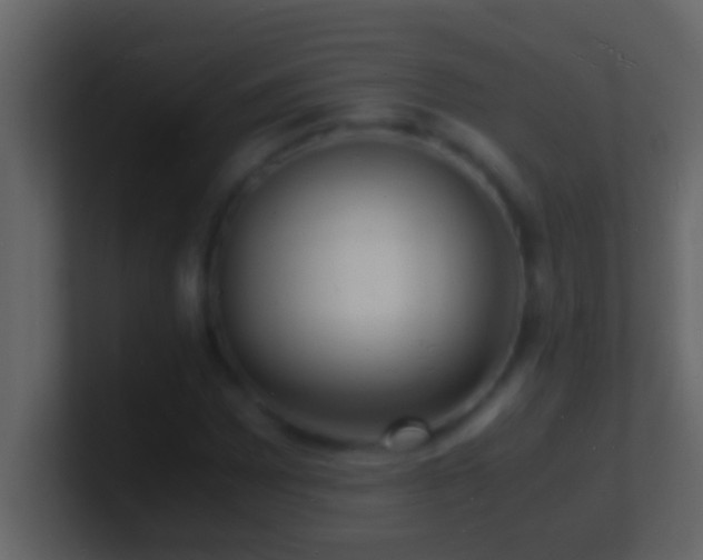 X0000101481065200807071459