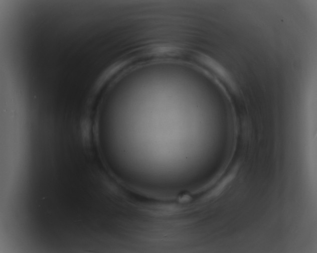 X0000101481066200807071459