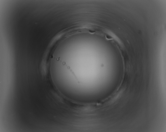 X0000101481067200807071459