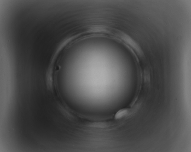 X0000101481068200807071459
