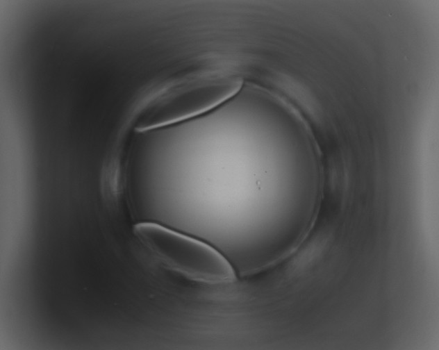 X0000101481069200807071459