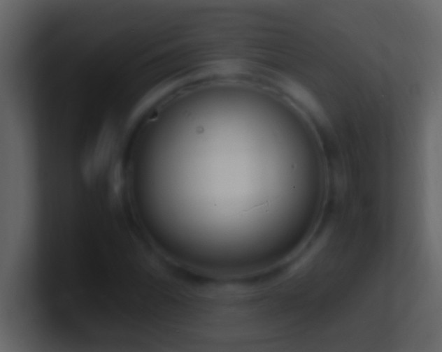 X0000101481070200807071459