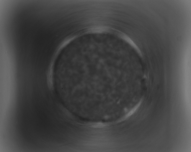 X0000101481071200807071459