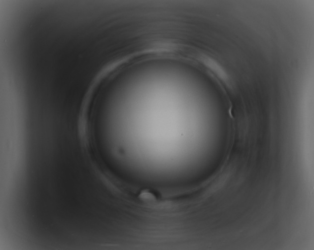 X0000101481072200807071459