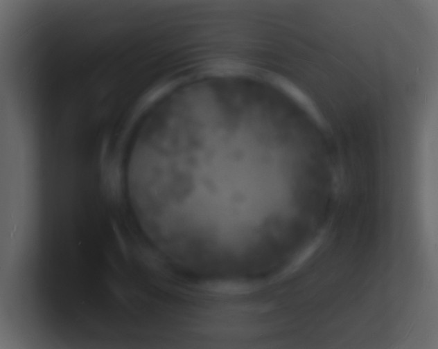 X0000101481074200807071459