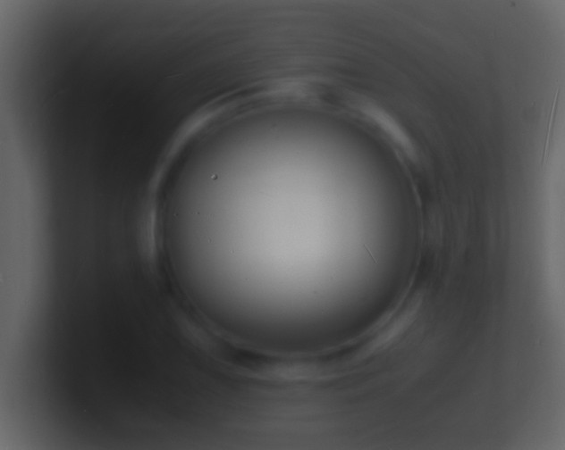 X0000101481075200807071459