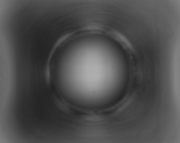 X0000101481076200807071459