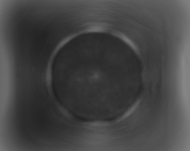 X0000101481077200807071459