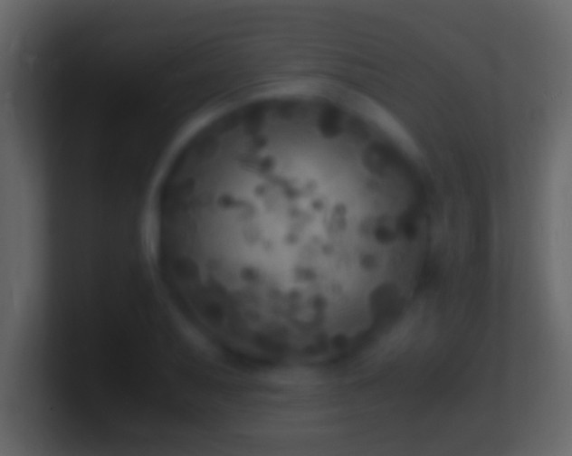 X0000101481079200807071459