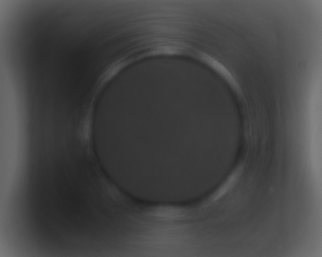 X0000101481081200807071459