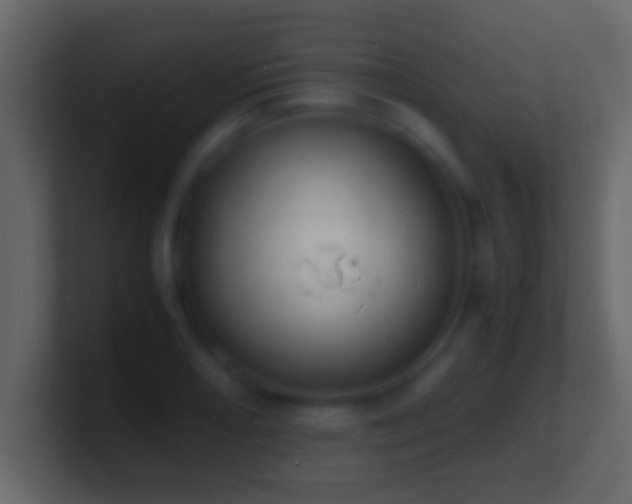 X0000101481082200807071459
