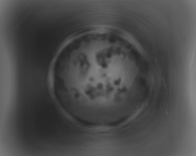 X0000101481083200807071459