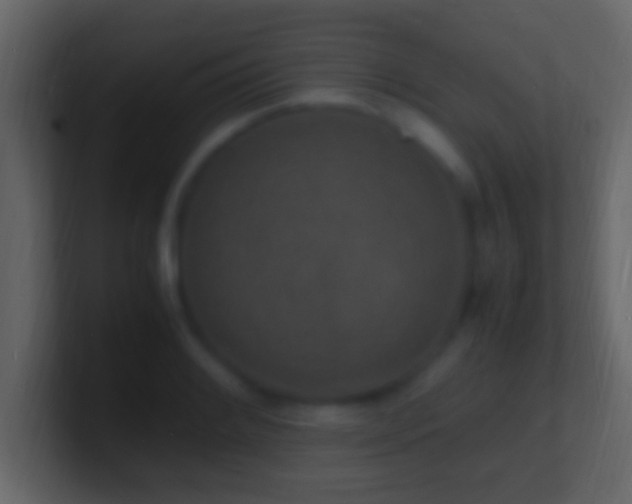 X0000101481084200807071459