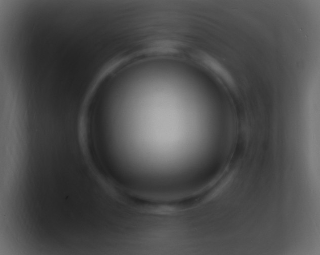 X0000101481085200807071459