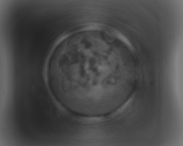 X0000101481087200807071459