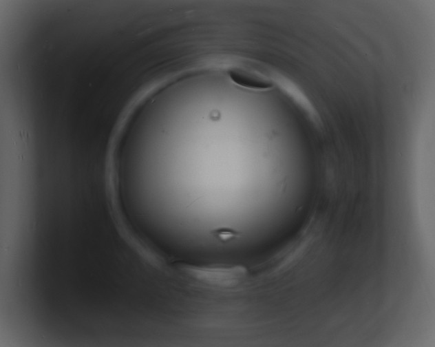 X0000101481088200807071459