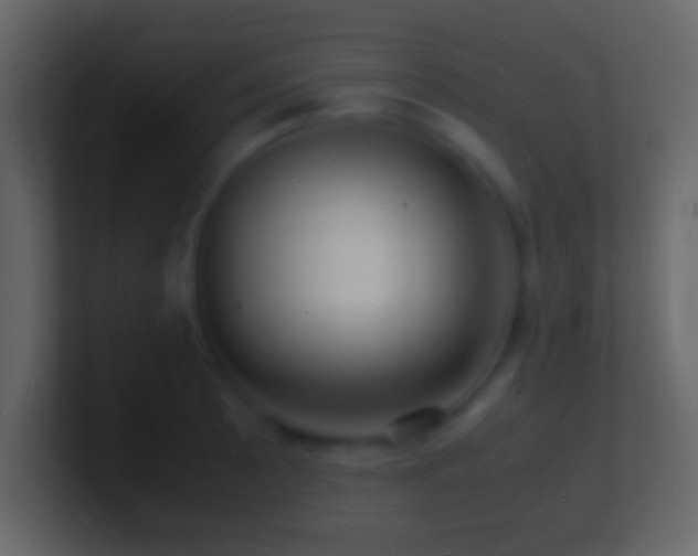 X0000101481089200807071459
