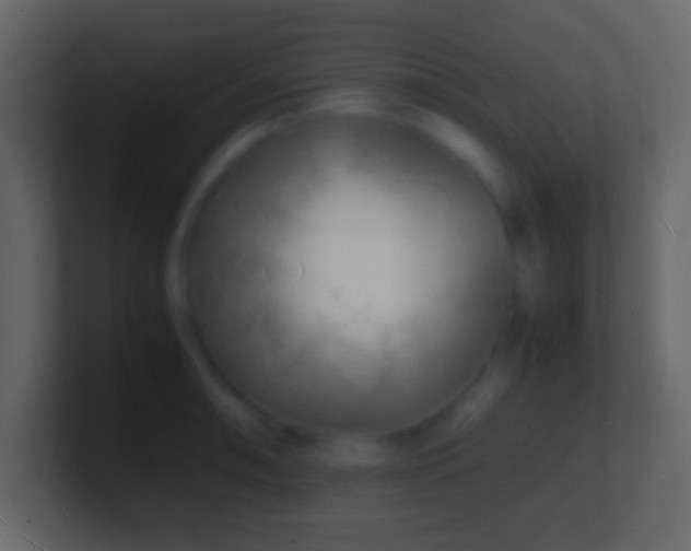 X0000101481090200807071458