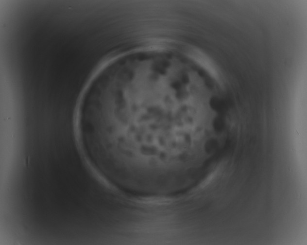 X0000101481091200807071458