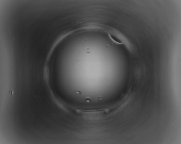 X0000101481092200807071458